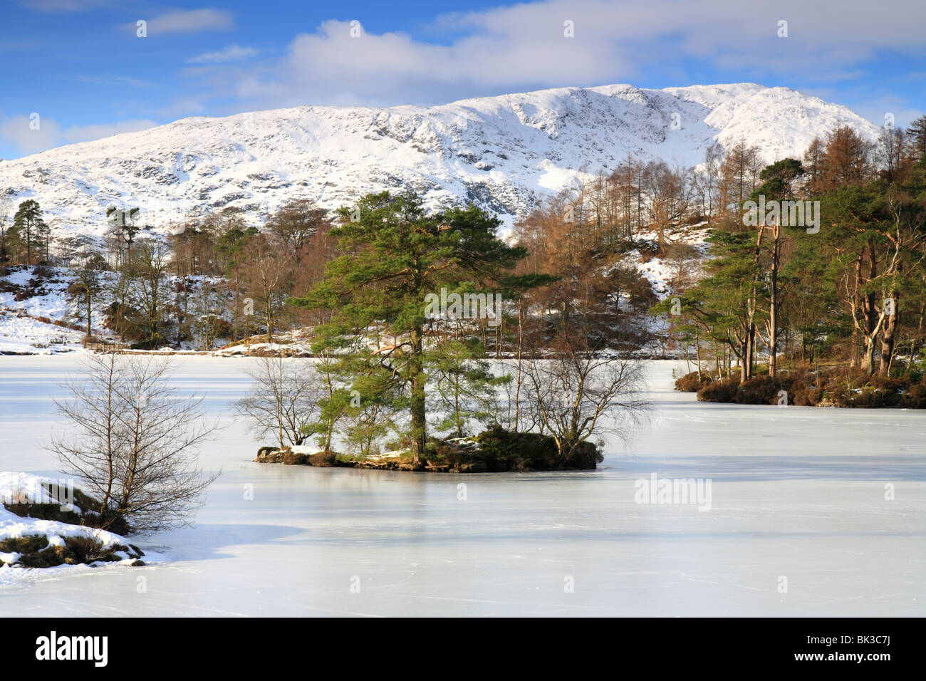Tarn Hows in winter, frozen lake with snow on the fells. Lake District, Cumbria Stock Photo