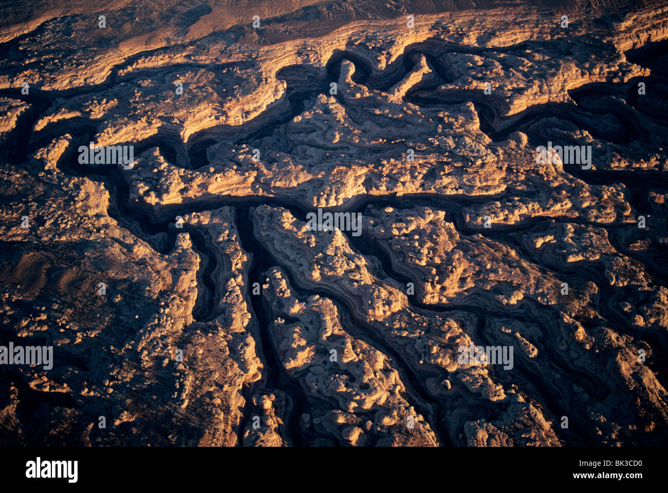 Aerial view of the confluence of Grand Gulch and Collins Gulch in the