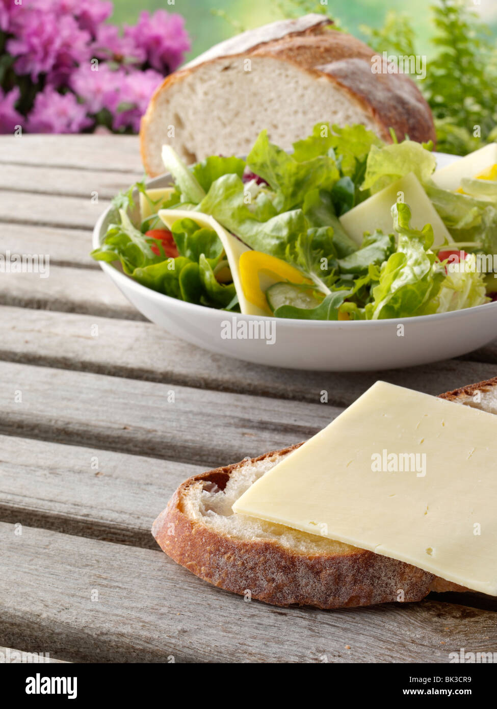 Cheddar Cheese Slice On Bread With A Bowl Of Salad Stock Photo Alamy