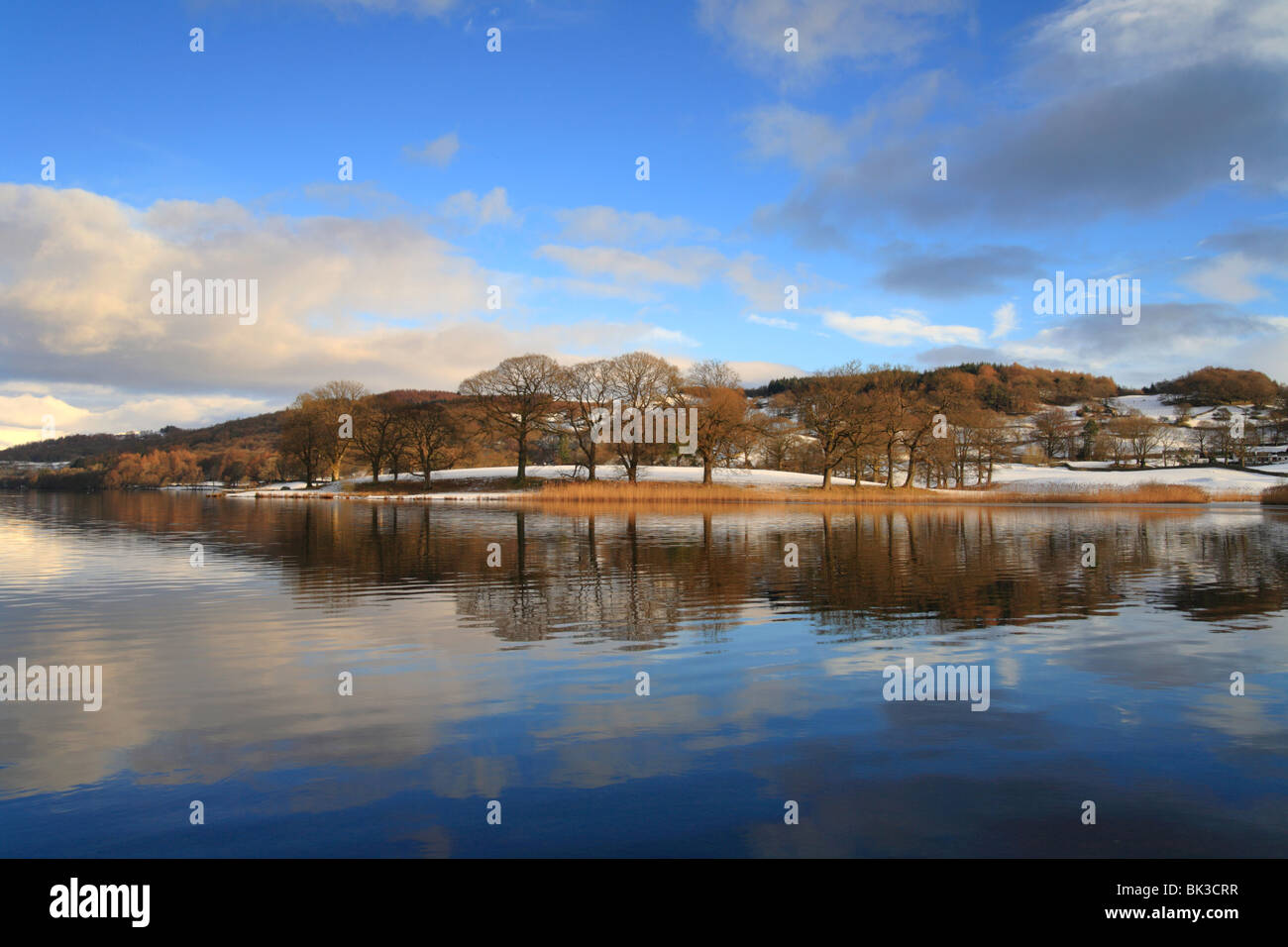 Esthwaite Water reflections winter, English Lake District, UK Stock Photo