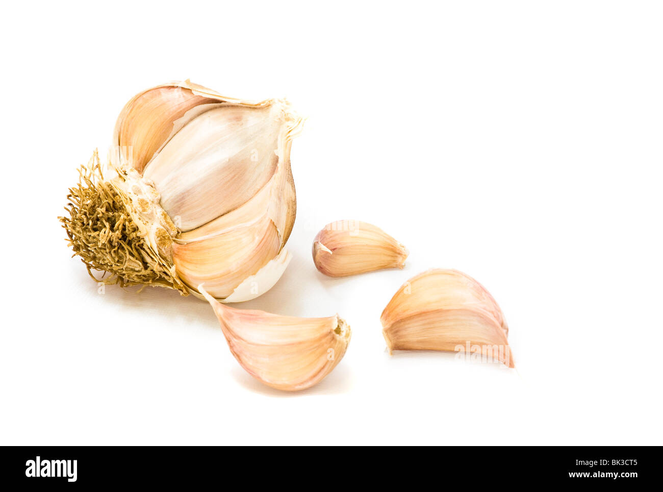 A Garlic Bulb with Cloves Against a White Background Stock Photo - Alamy
