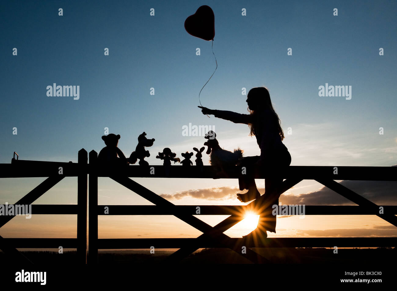 Girl holding a heart balloon with a Rag doll, chicken, fox, rabbit and bear soft toys sitting on a gate at sunset. Silhouette Stock Photo