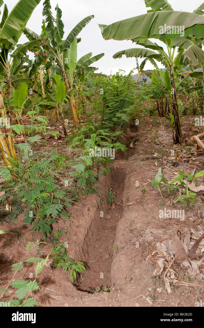 Irrigation ditch dug to help improve water retention and decrease soil