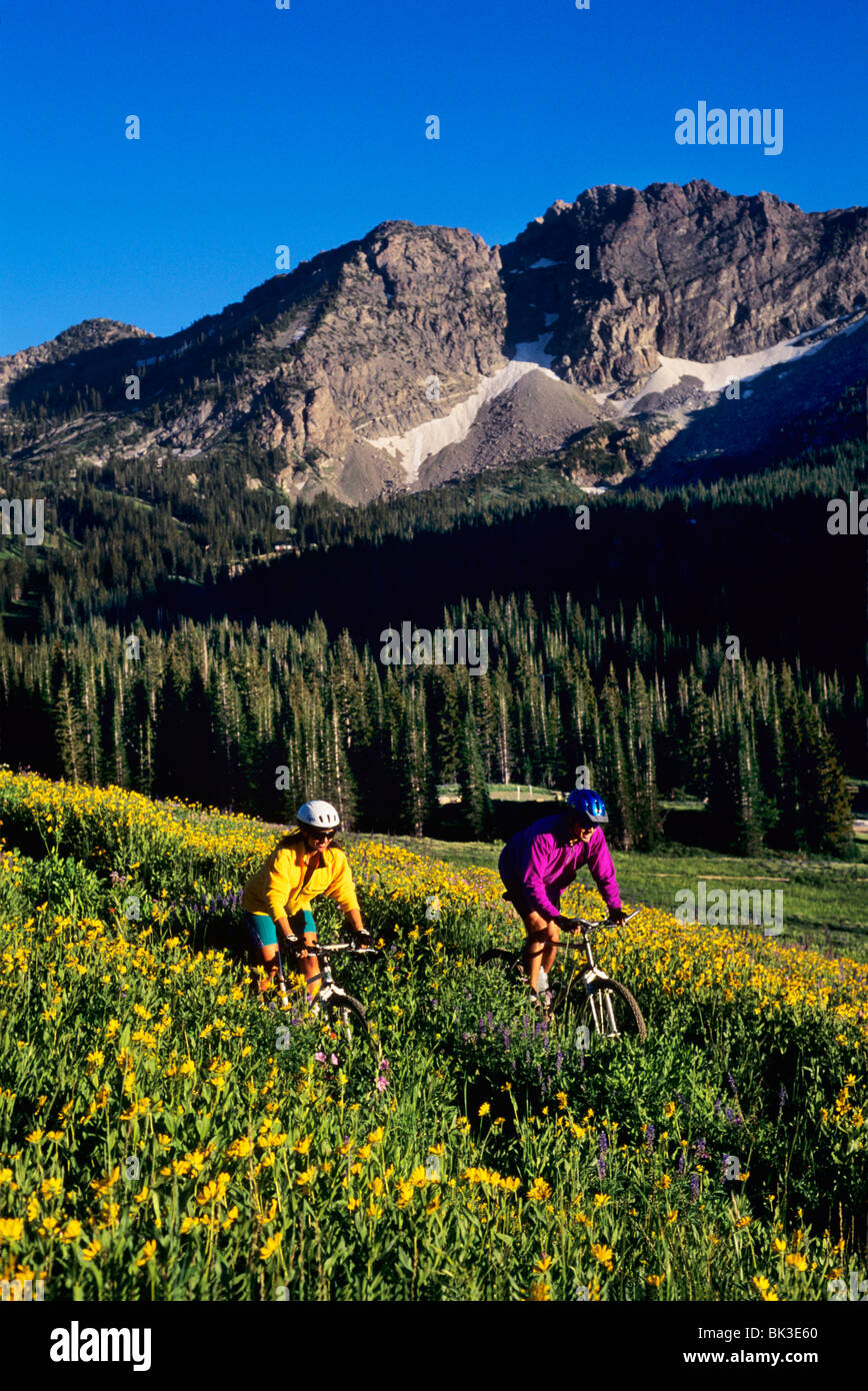 Mountain biking below Devil's Castle in Albion Basin in upper Little