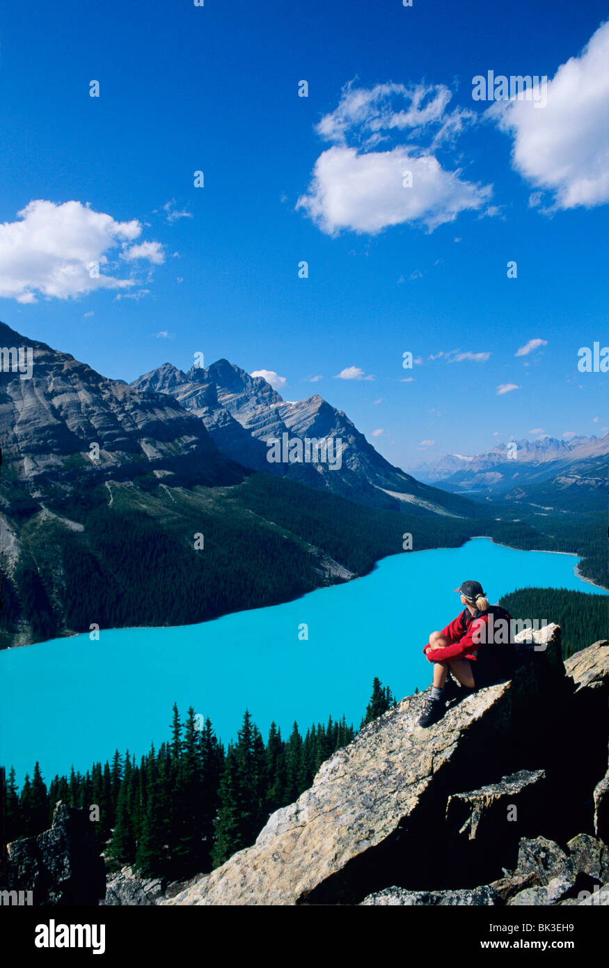 Hiker overlooking Peyto Lake near Bow Summit along the ice fields ...