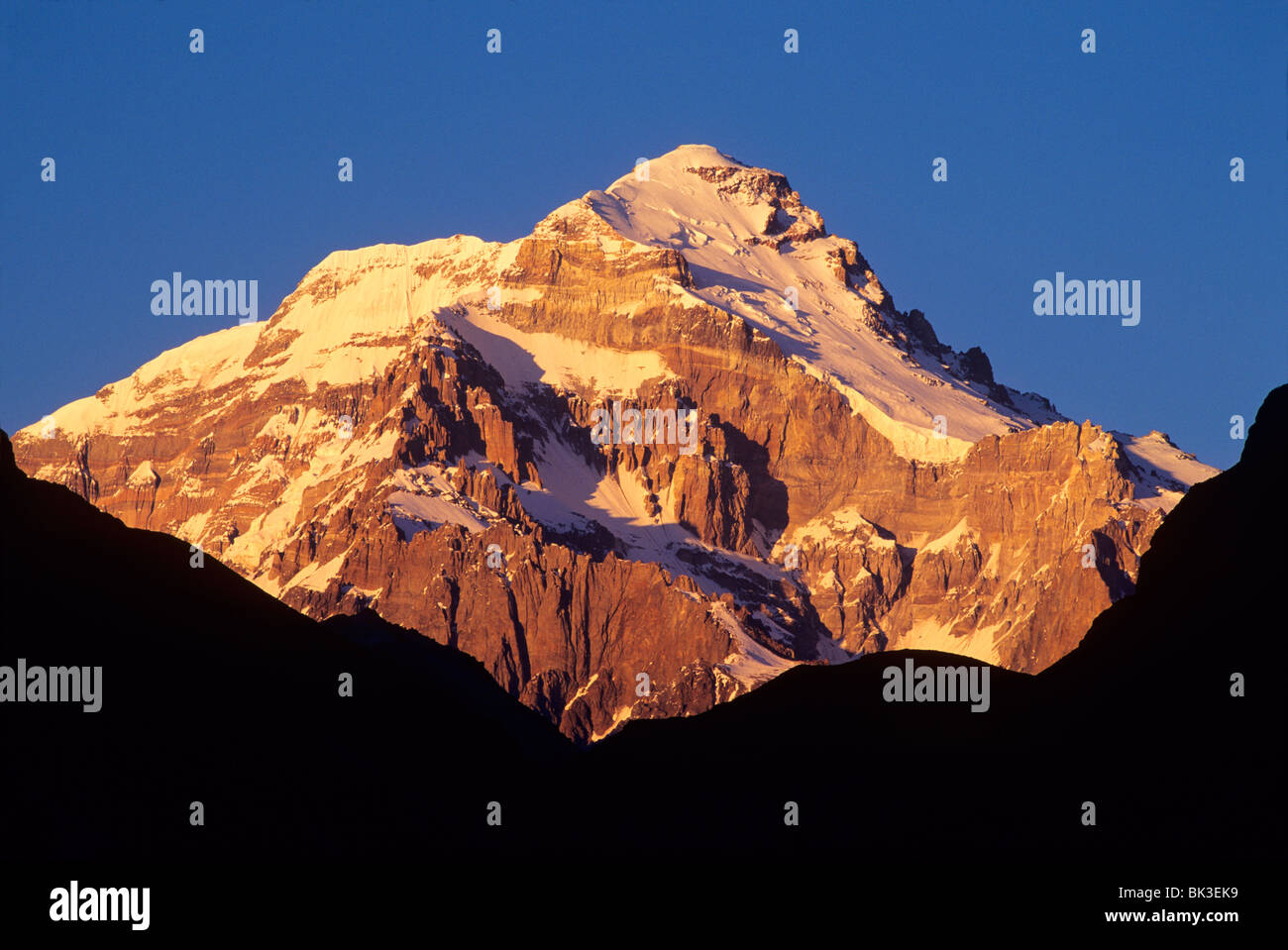 Morning light illuminates the east face of Cerro Aconcagua viewed from the Vacas Valley in the Andes Mountains of Argentina. Stock Photo