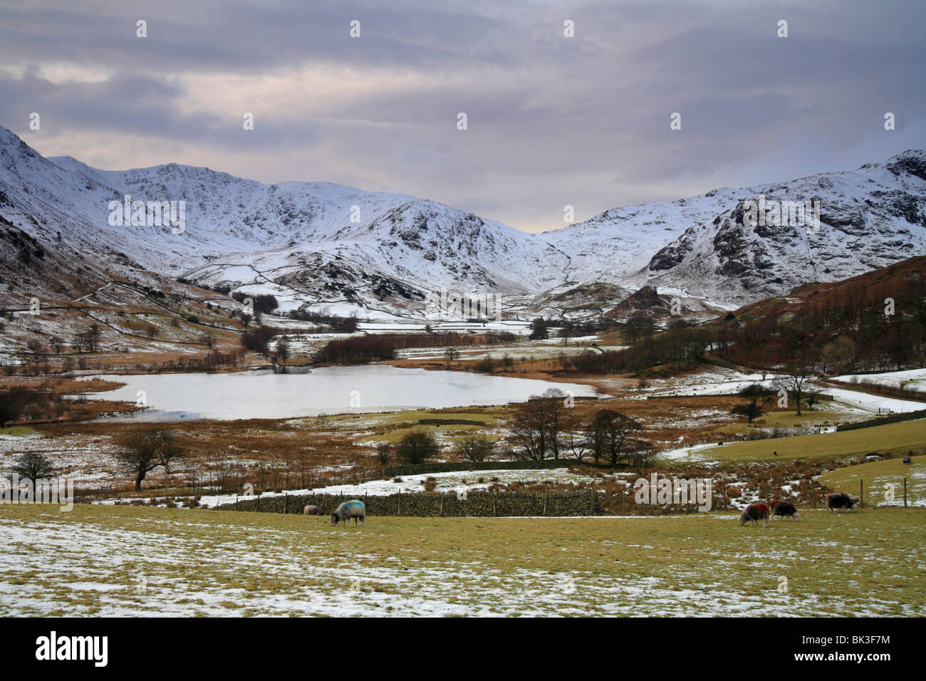Little Langdale Tarn, winter landscape, Tiberthwaite Fells, Lake District Cumbria, UK Stock Photo