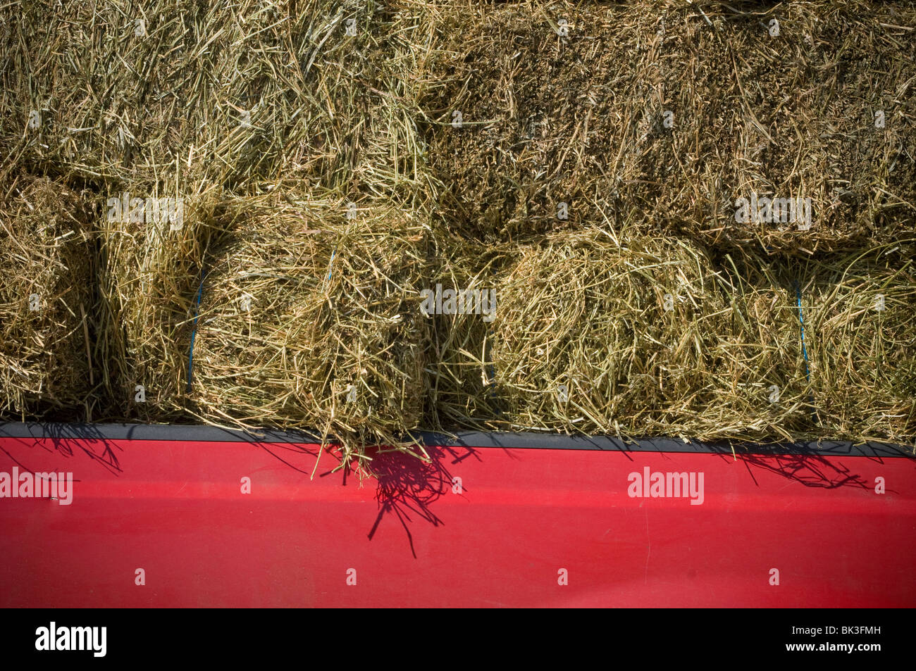 Local volunteer fire companies raise funds through what have affectionately come to be known as Mud Sales. Stock Photo