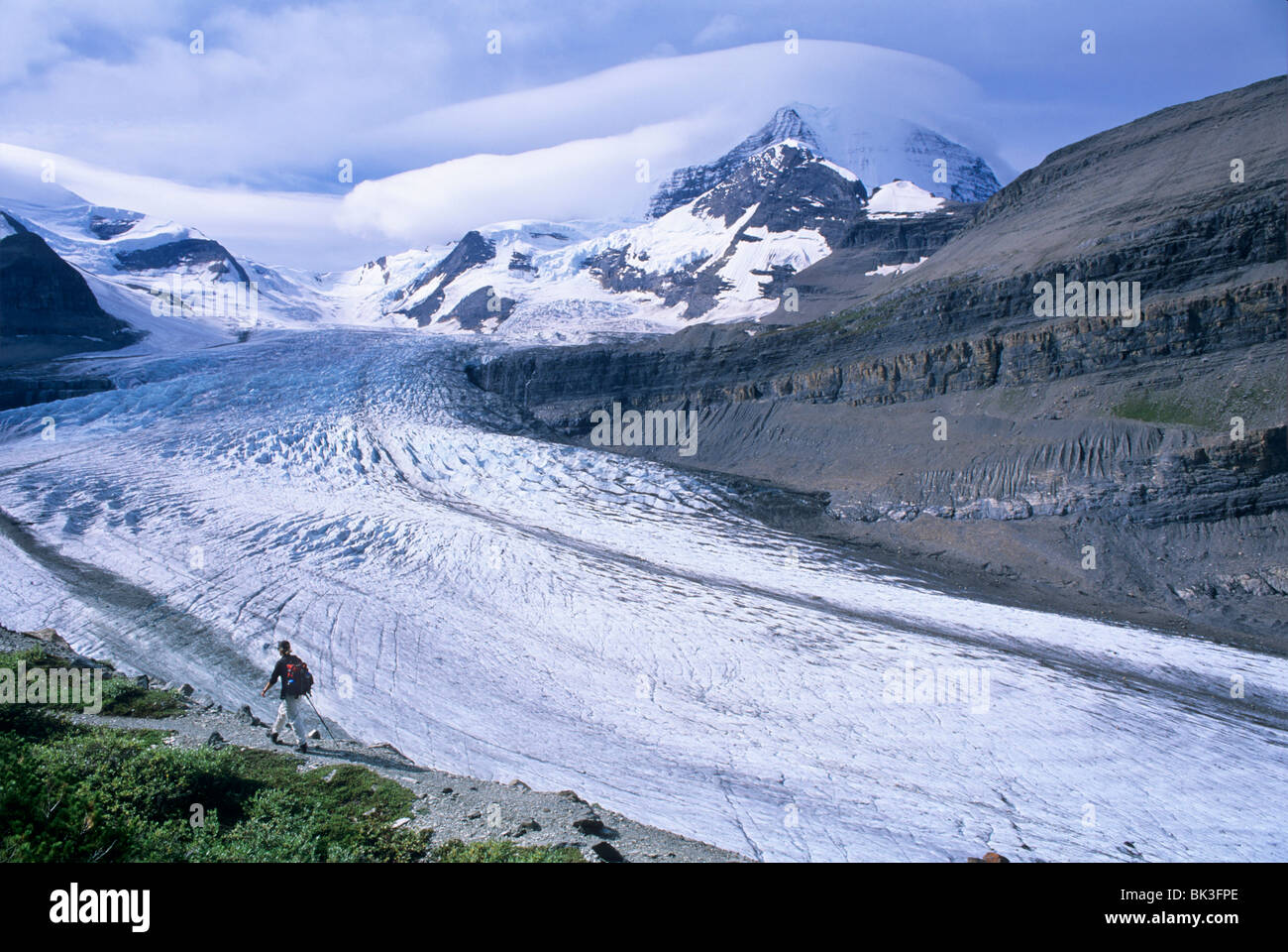 Hiking to Snowbird Pass beside the Robson Glacier below Mount Robson in Mount Robson Provincial Park, British Columbia, Canada. Stock Photo