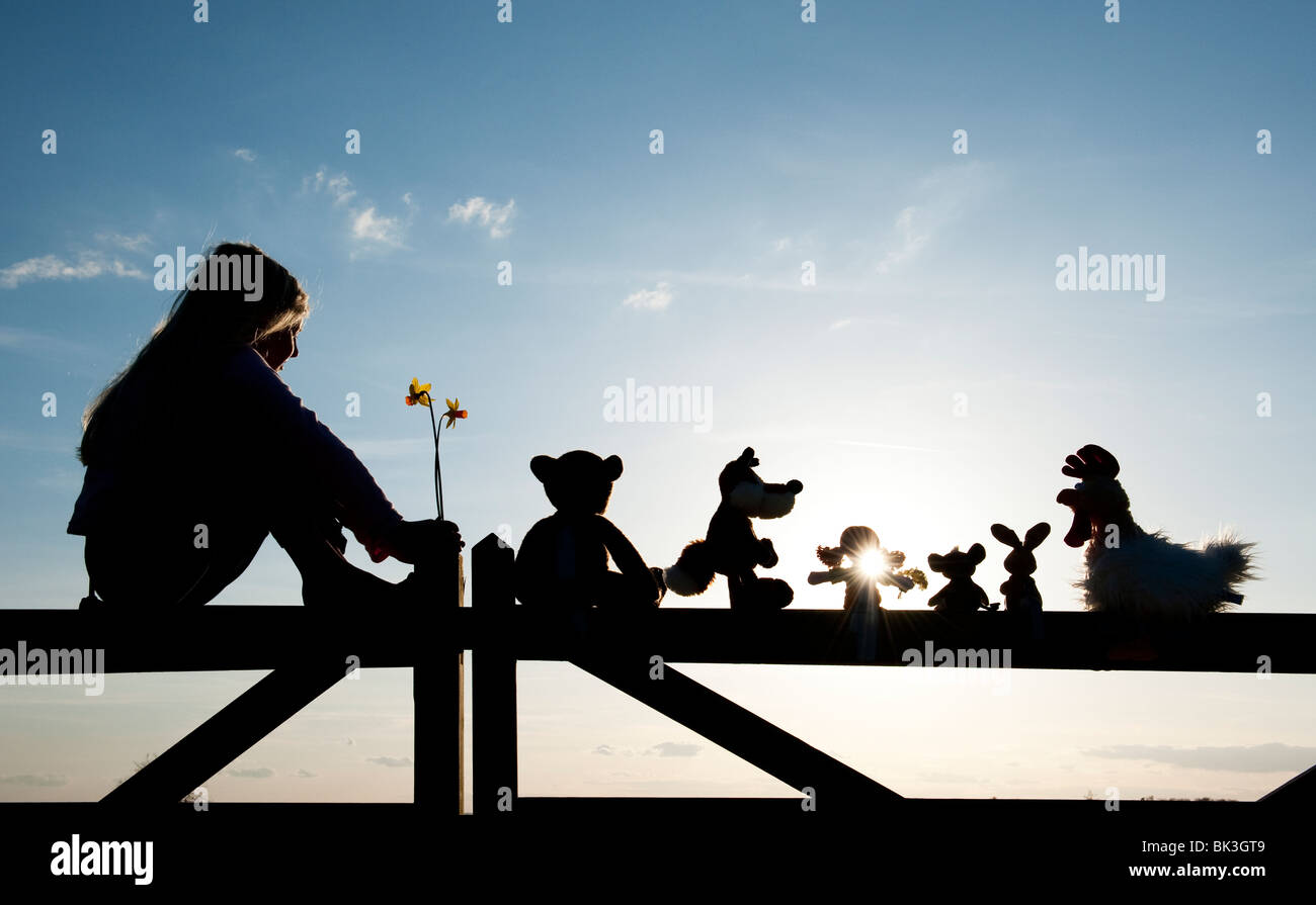 Young Girl with daffodils and a Rag doll, chicken, fox, rabbit and bear soft toys sitting on a gate at sunset . Silhouette Stock Photo