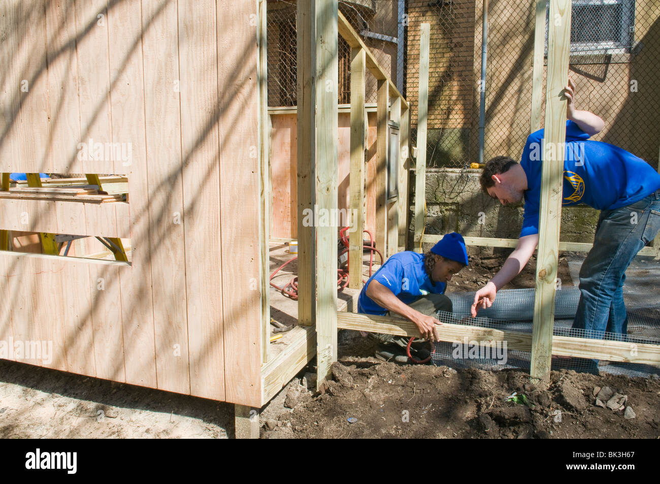 Youth volunteers building an urban chicken coop in a community garden, Crown Heights, Brooklyn, New York, USA Stock Photo