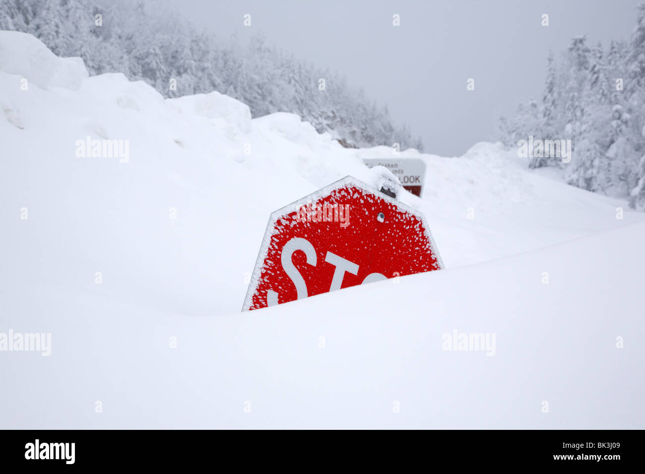 Snow covered stop sign along street Stock Photo Alamy