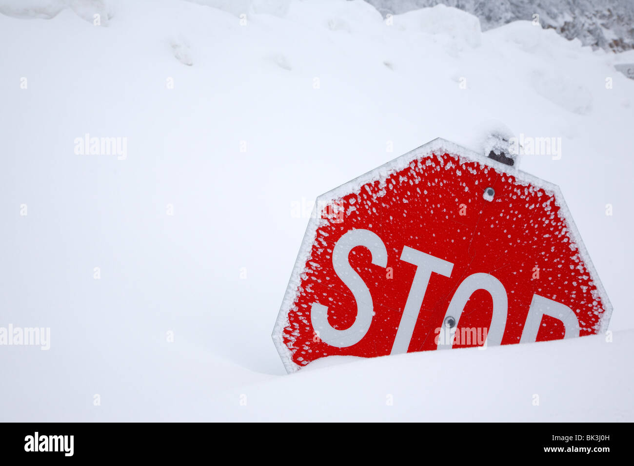 Snow covered stop sign along street Stock Photo Alamy