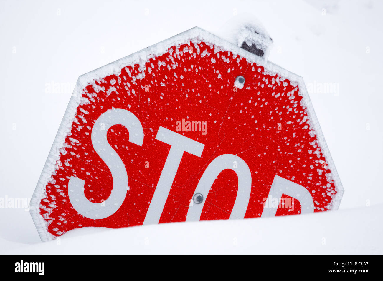 Snow covered stop sign along street Stock Photo Alamy