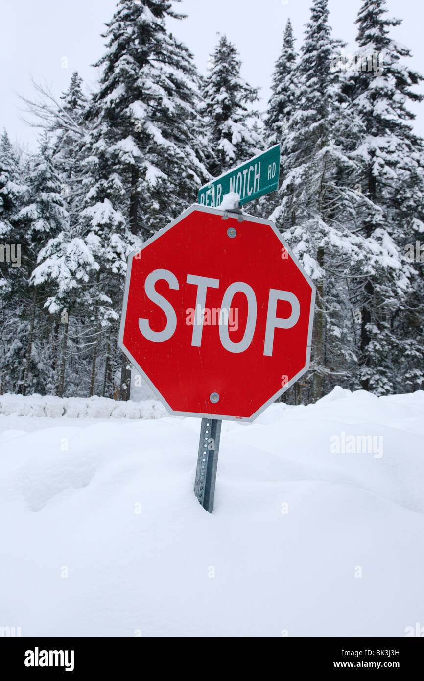 Snow covered stop sign along street Stock Photo Alamy