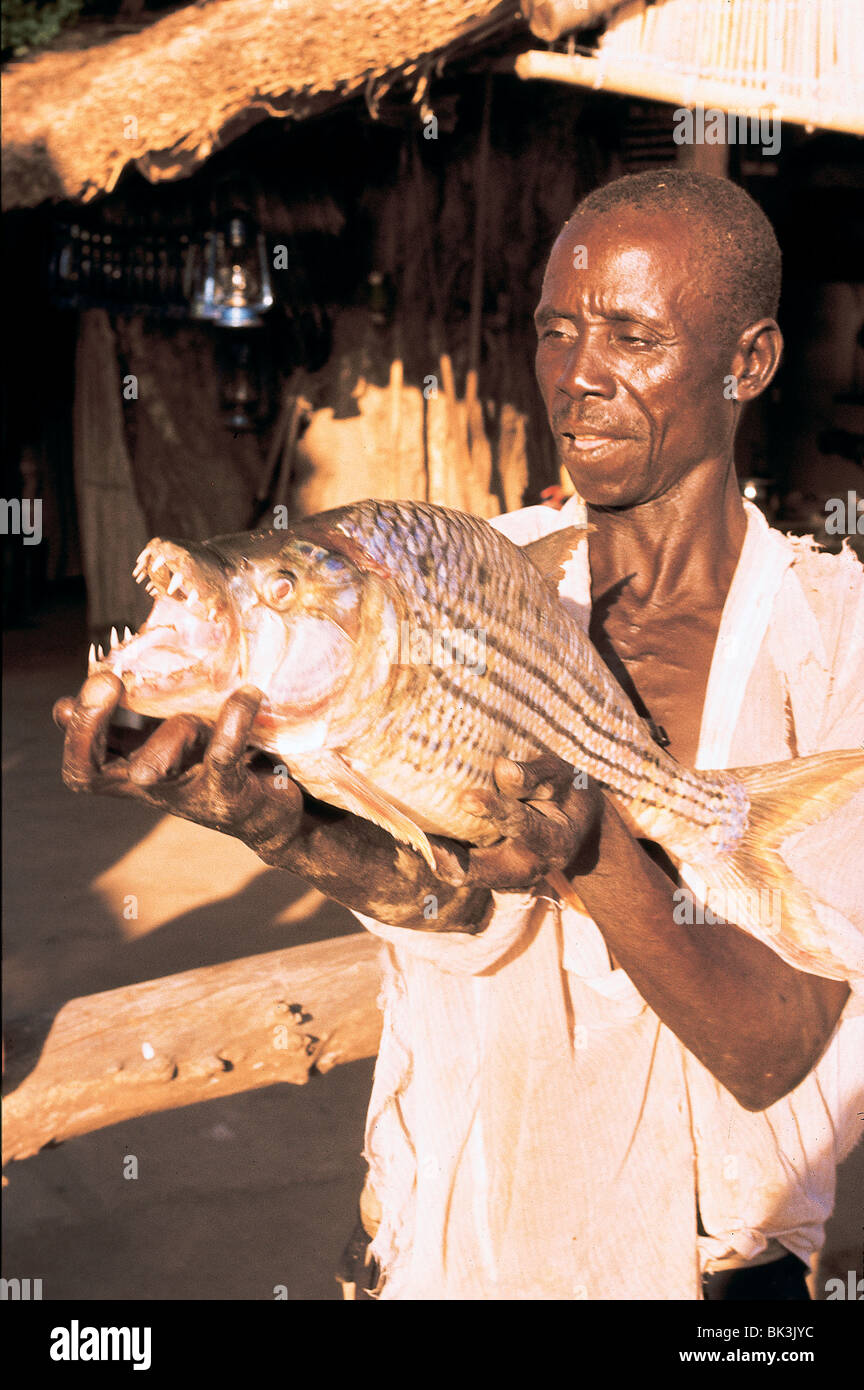 Man holding a Tiger Fish from Lake Kariba, Zimbabwe Stock Photo