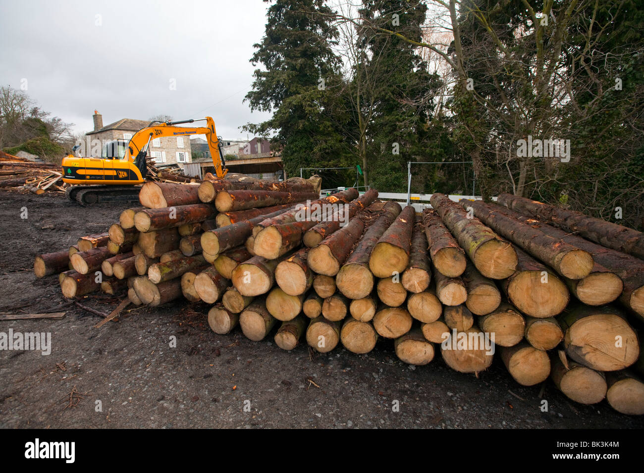 Deforestation, trees being chopped down to make way for farm land and