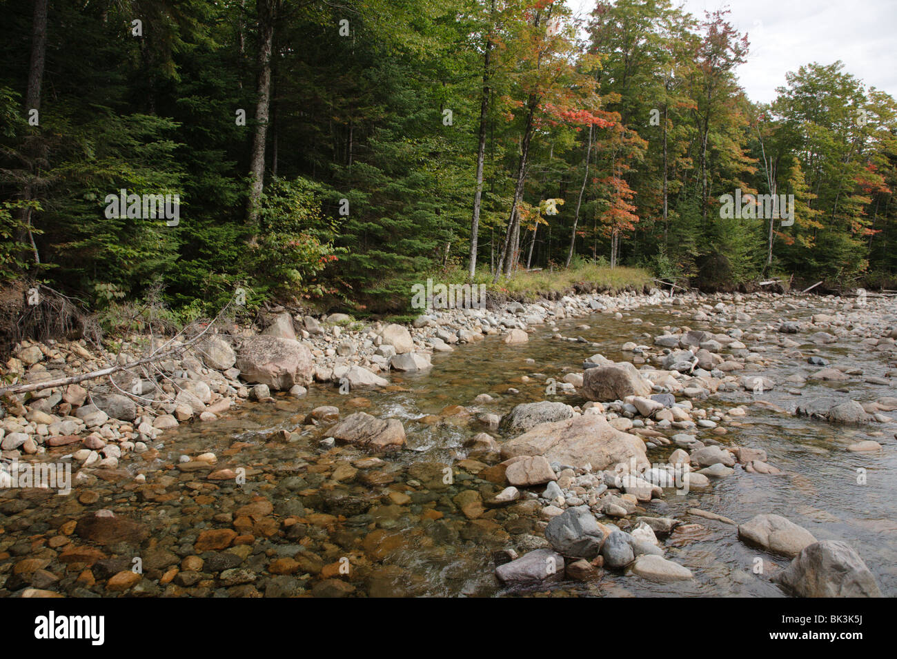 Pemigewasset Wilderness - This area is believed to be the location of an trestle along the old East Branch Lincoln Railroad that crossed Franconia Bro Stock Photo