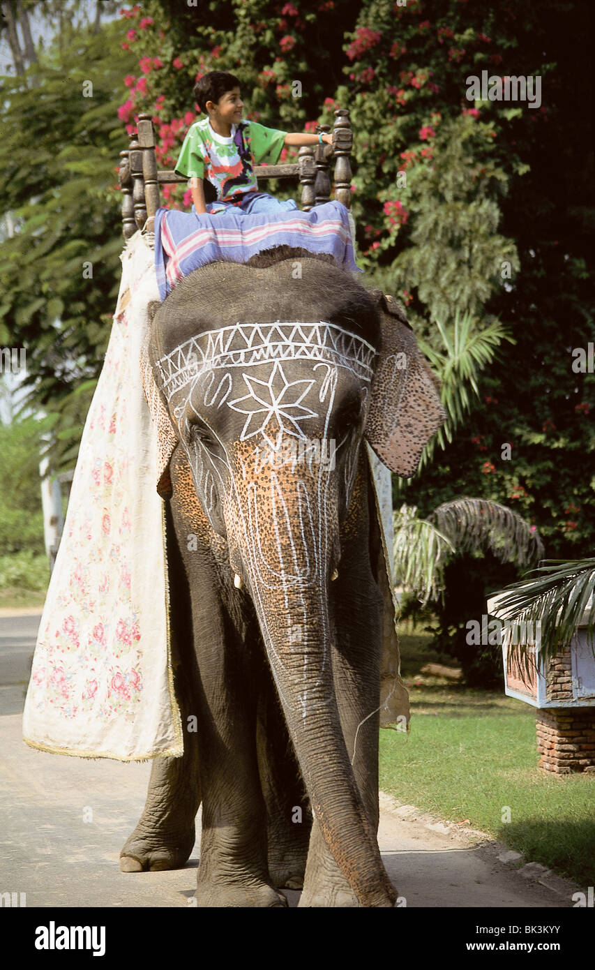 Young boy riding on top of a decorated elephant with paint or chalk in India Stock Photo