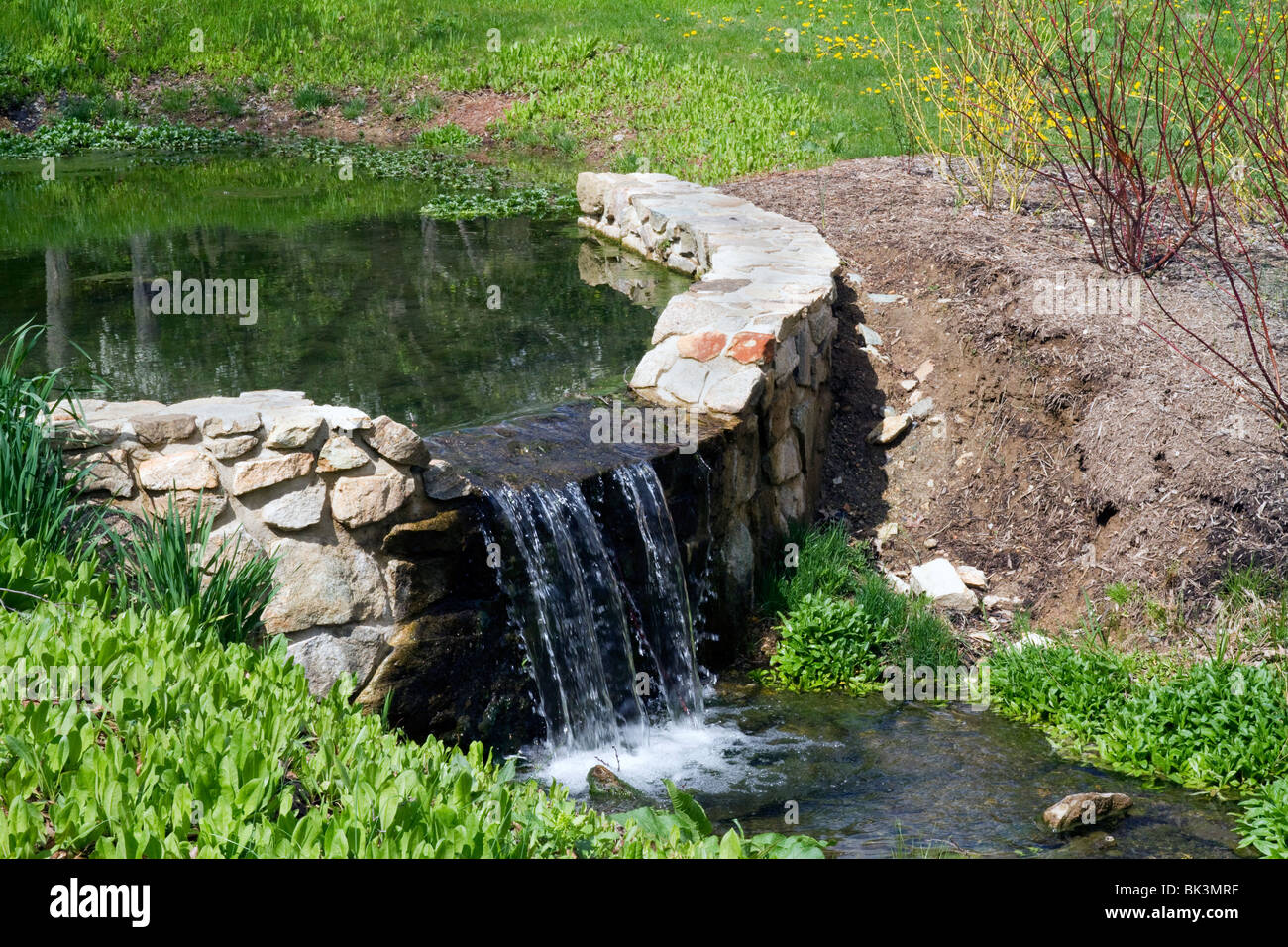 Garden ponds with dams overflowing Stock Photo Alamy