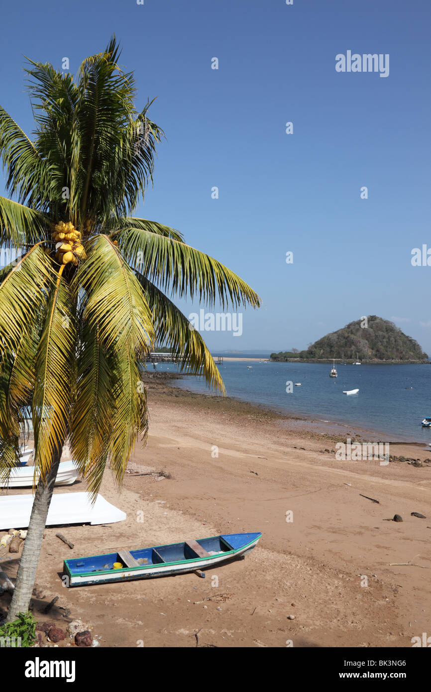 Palm tree, fishing boat and Playa Honda beach, Isla El Morro in background, Taboga Island, Panama Stock Photo