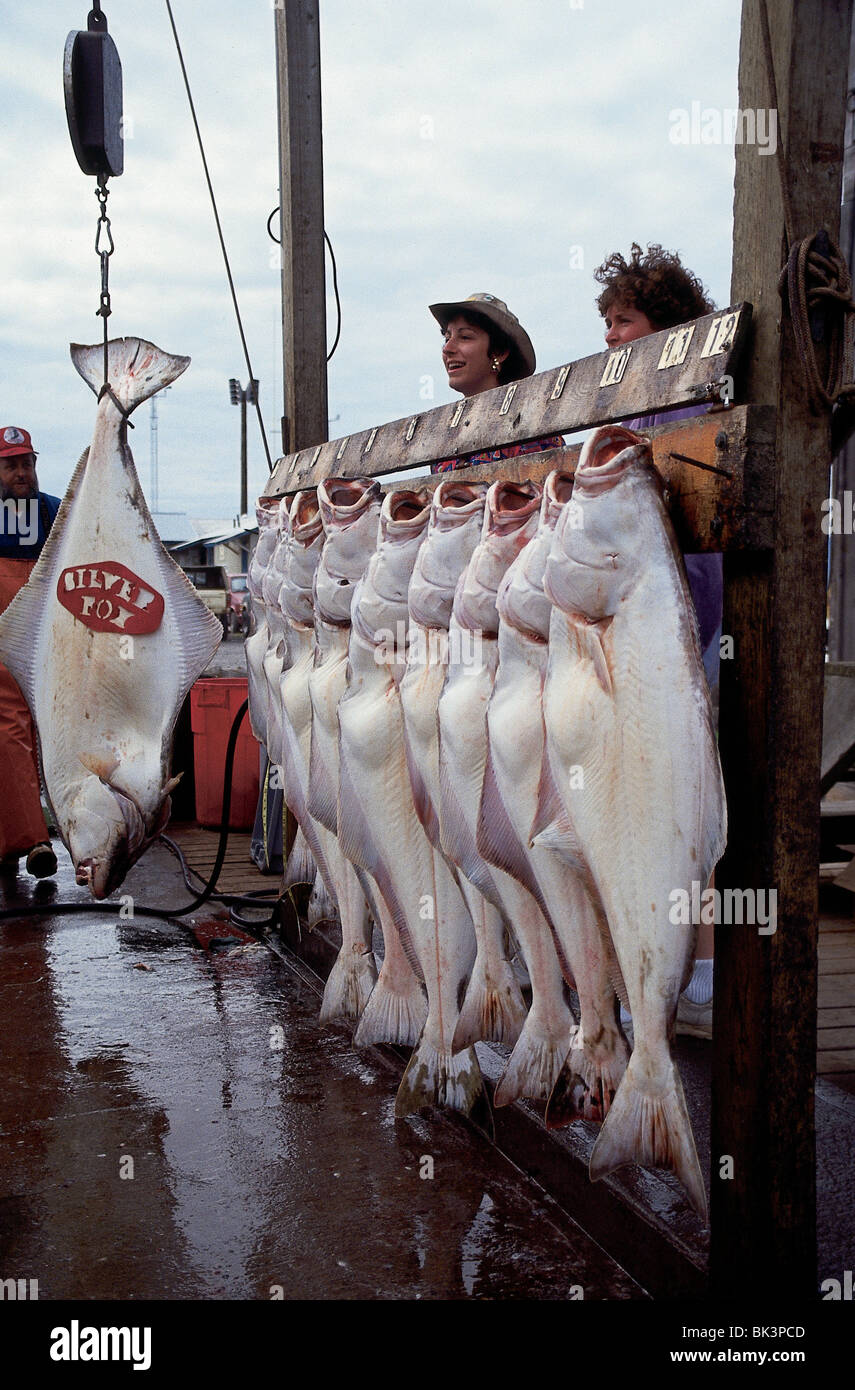 Tourists and halibut catch, Silver Fox Charters of Homer, Alaska Stock