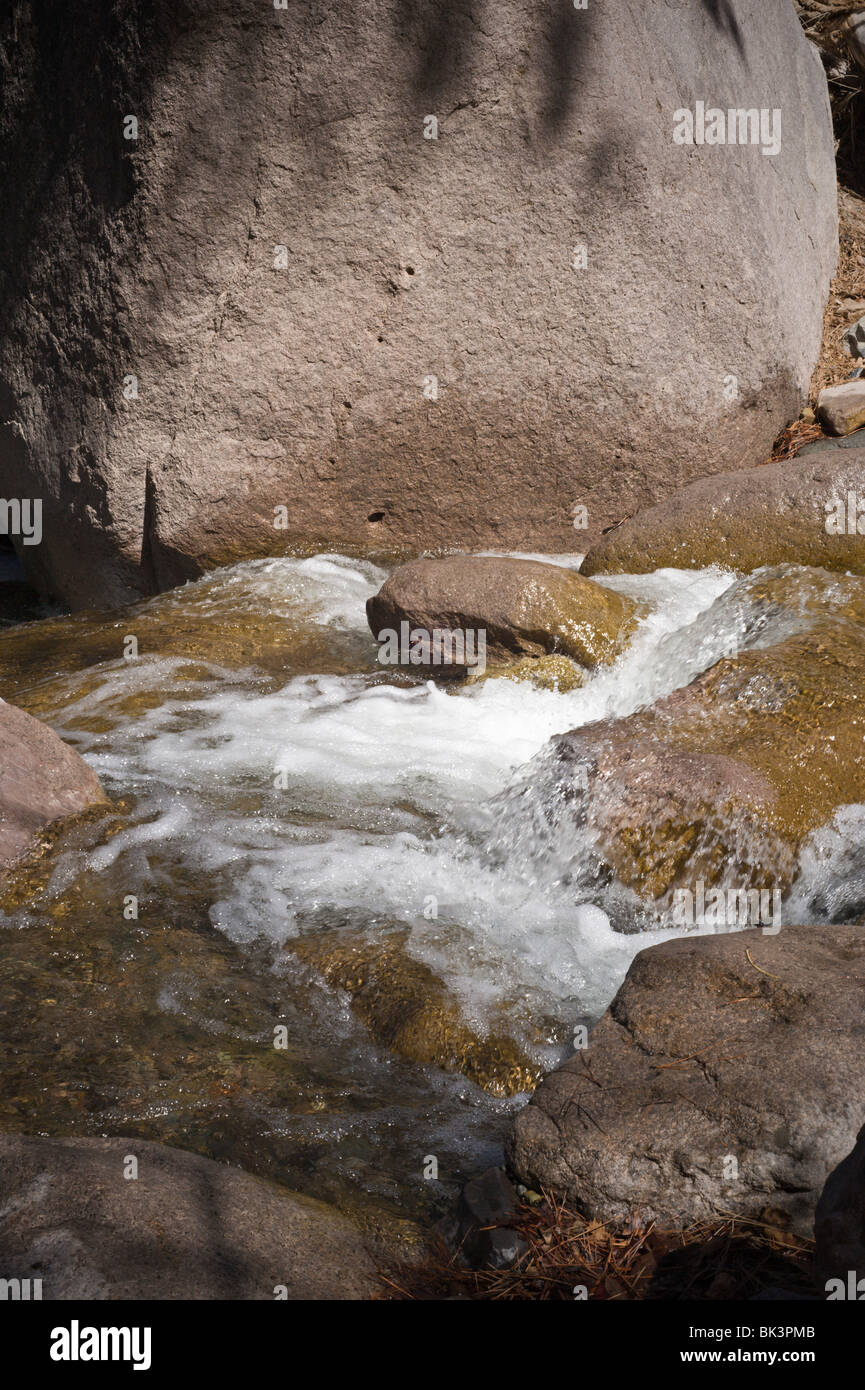 A bubbling stream flows through the New Mexico landscape near Three