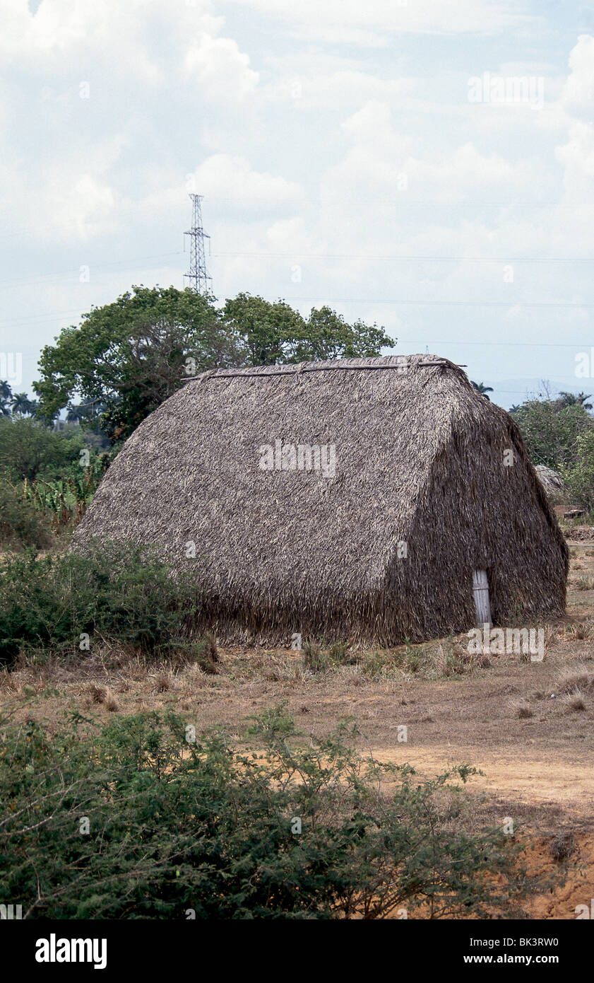 Casa de tabaco (house of tobacco) where harvested tobacco crops dry,  Vinales Valley in Pinar del RÌo Province, Cuba Stock Photo