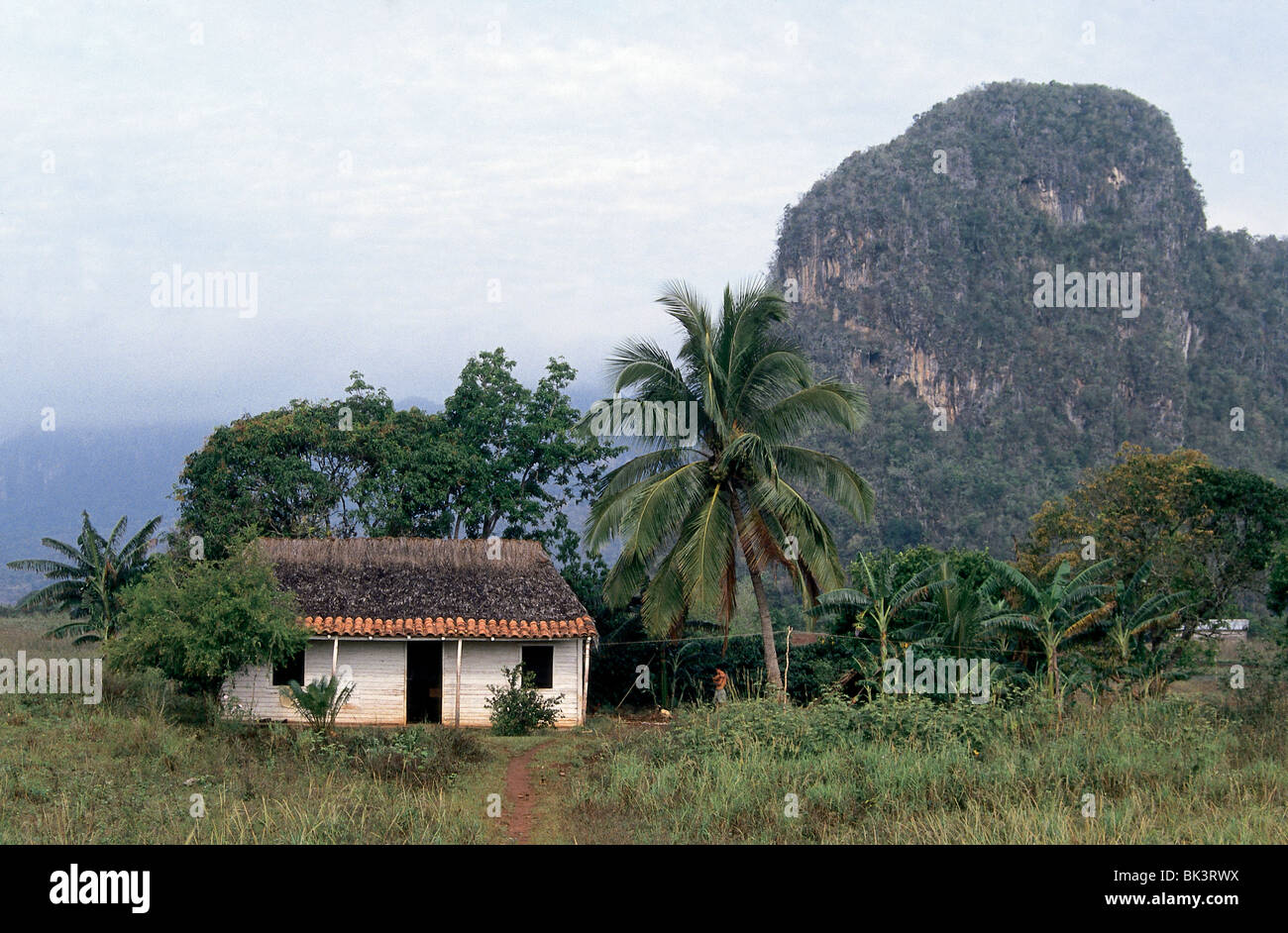 Farm house and the Pin Cushion Mountains in the Vinales Valley, Pinar del RÌo Province, Cuba Stock Photo