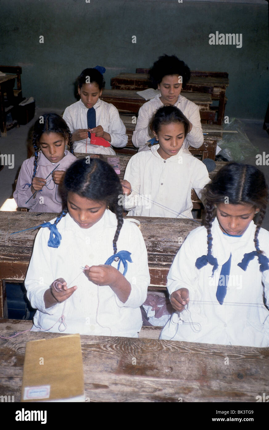 Students learning a knitting process in Egypt Stock Photo Alamy