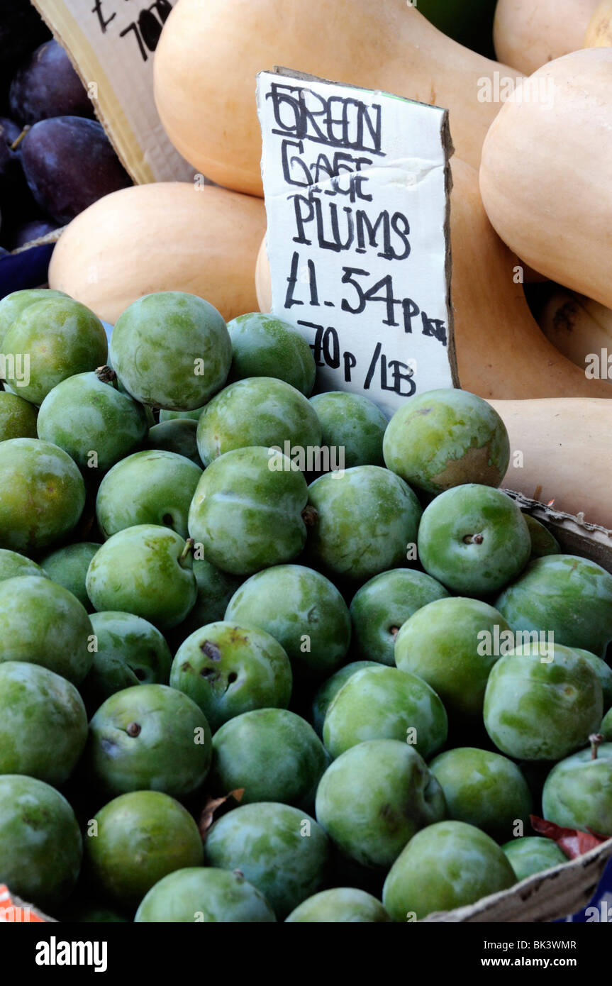 Green Gage or Greengage Plums for sale on stall Stock Photo Alamy