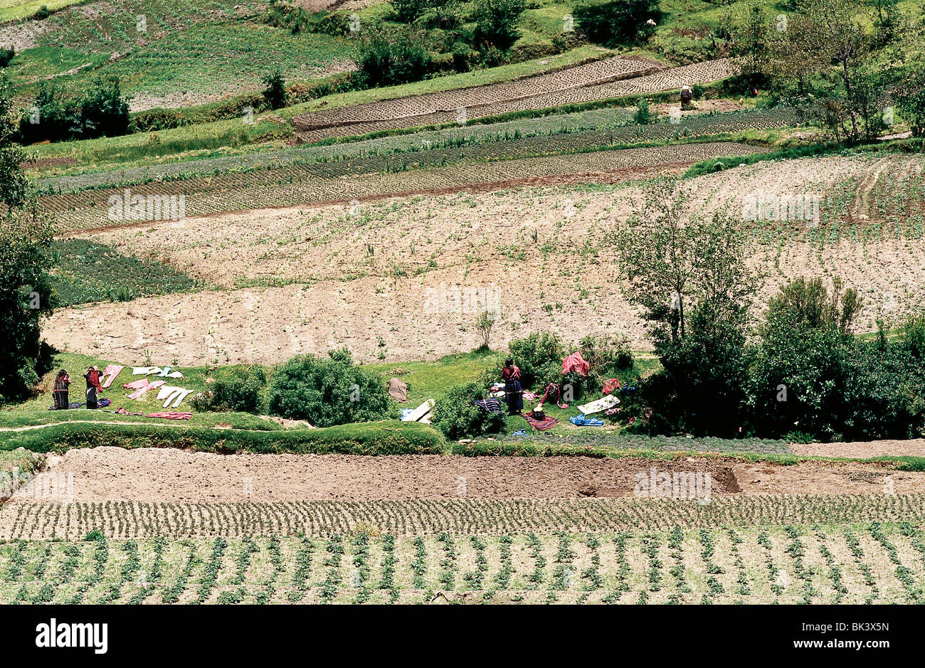 Agricultural fields with women drying laundry in the middle foreground, Guatemala Stock Photo