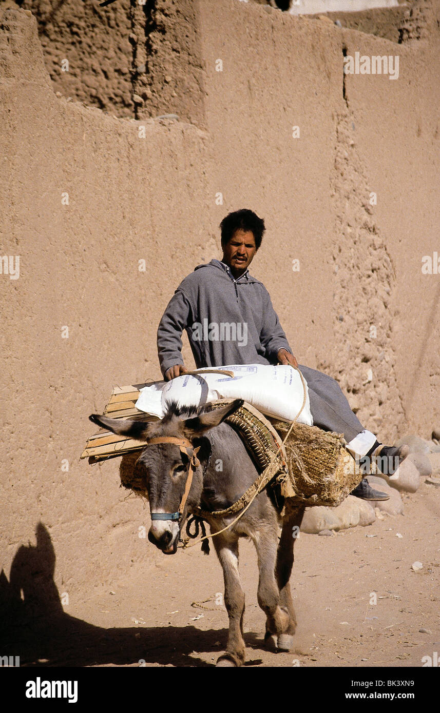 Donkey carrying a man and sack of flour, Ouarzazate, Morocco Stock Photo