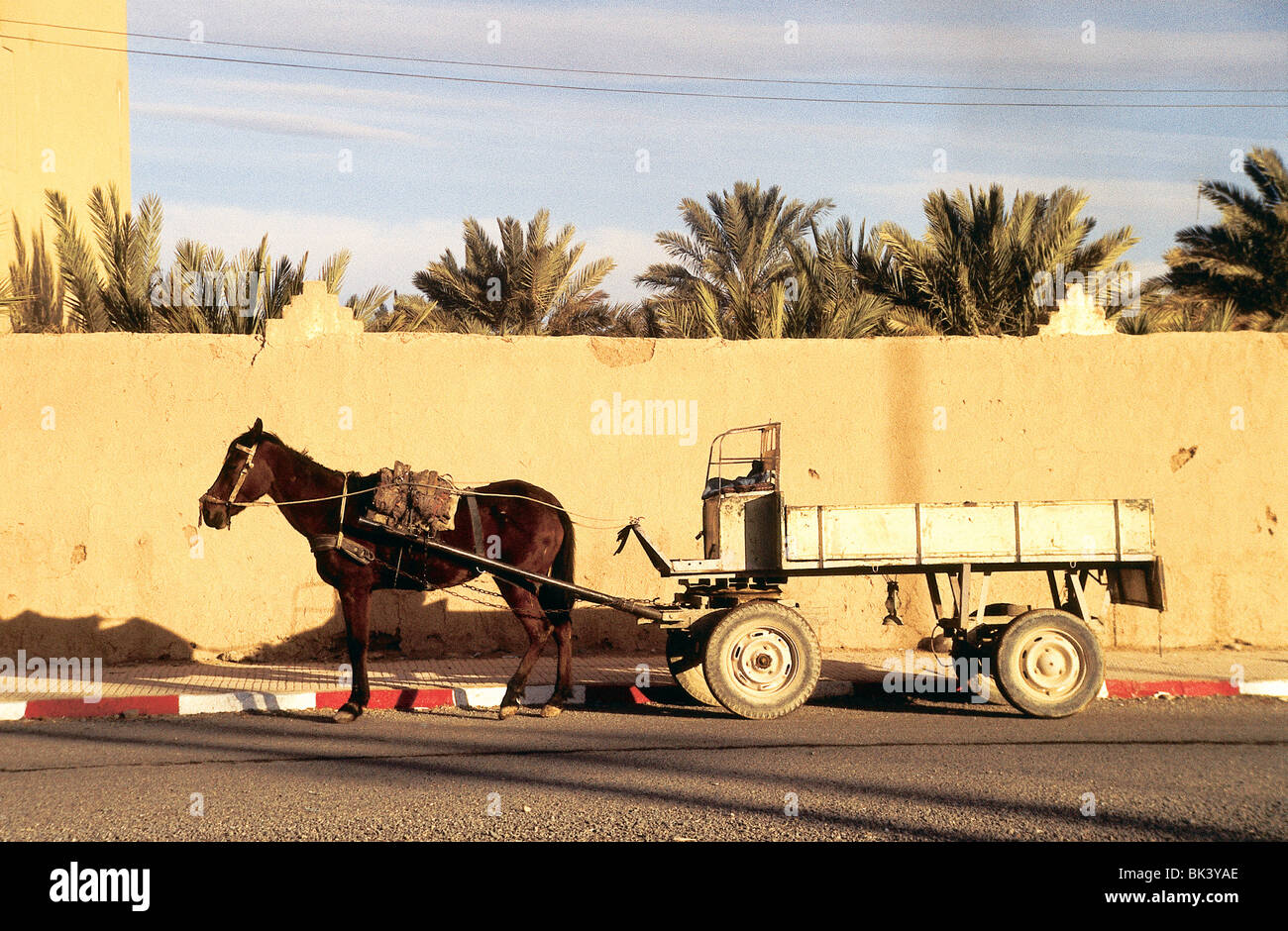 Horse drawn wagon in Ouarzazate Province, Morocco Stock Photo