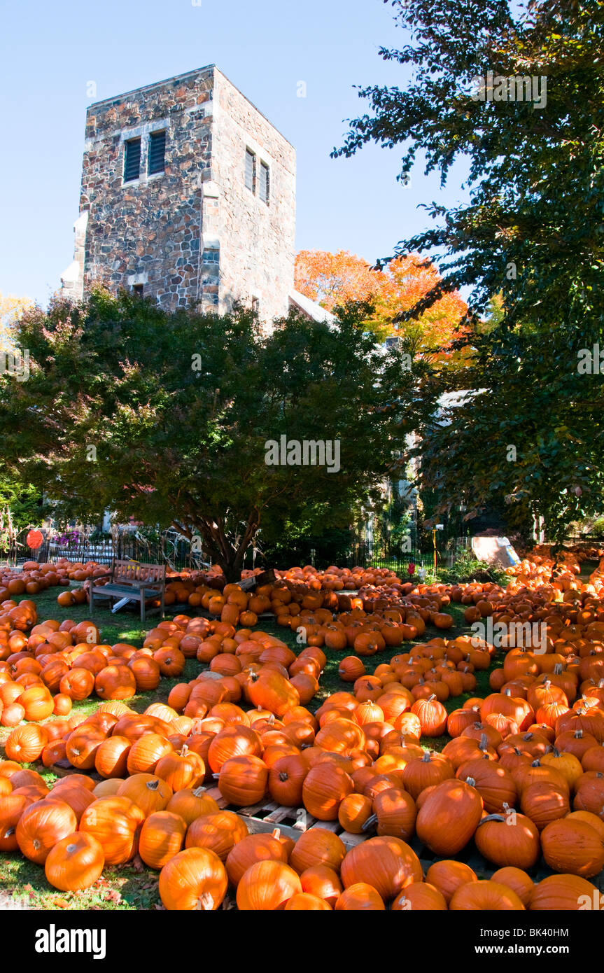 Halloween,Pumpkins, For Sale, Autumn Harvest,Squash,Jack o'Lanterns,Display,All Saints Day,First United Methodist Church,Prtmouth,New Hanpshire,NH,USA Stock Photo