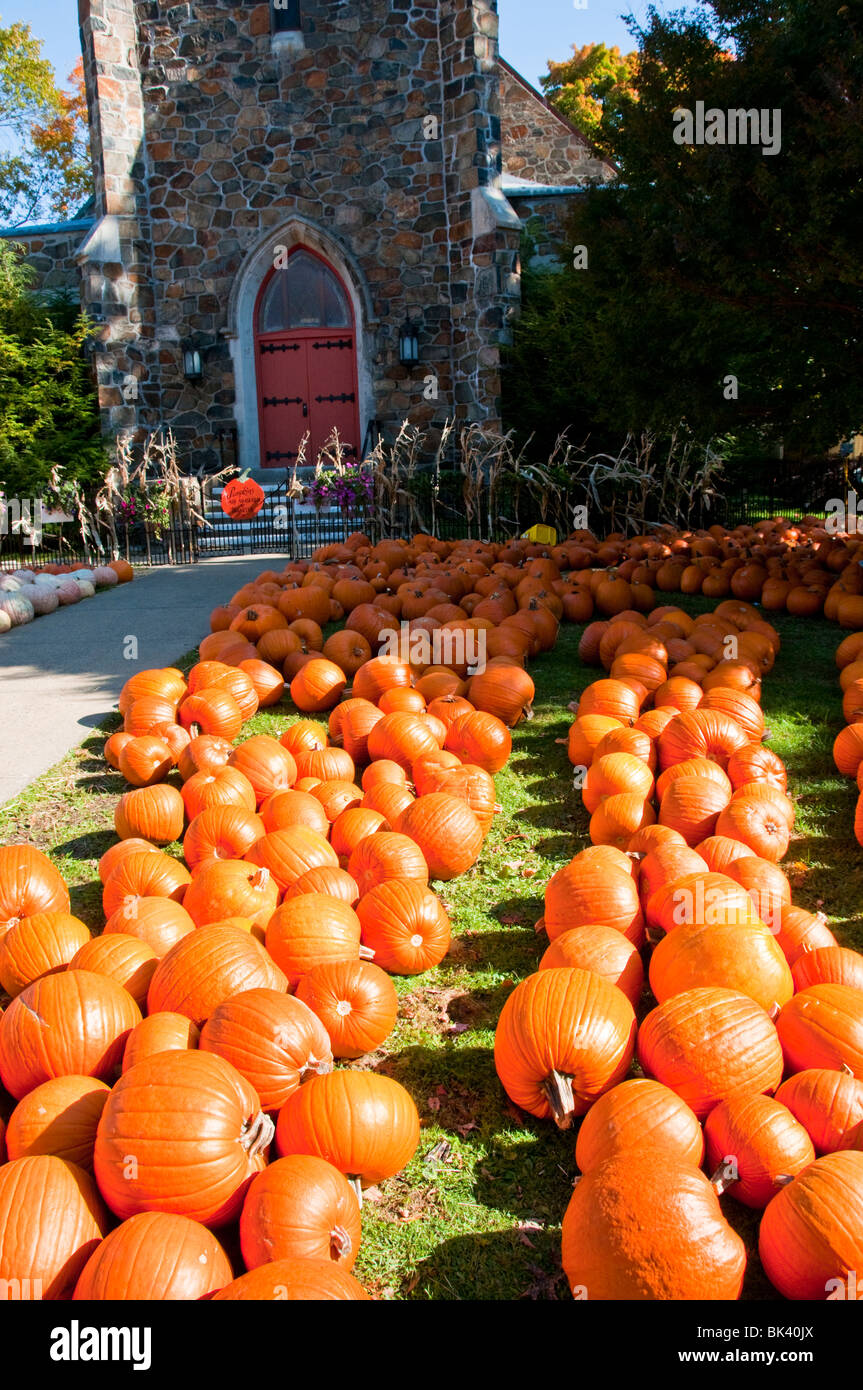 Halloween,Pumpkins, For Sale, Autumn Harvest,Squash,Jack o'Lanterns,Display,All Saints Day,First United Methodist Church,Prtmouth,New Hanpshire,NH,USA Stock Photo