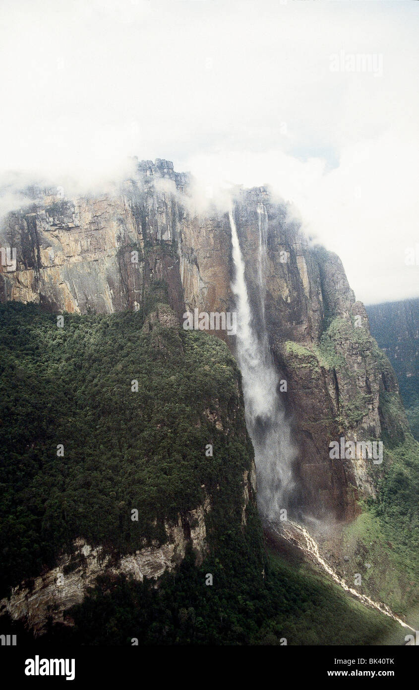 Angel Falls or Salto Angel is the world's highest waterfall in Canaima ...