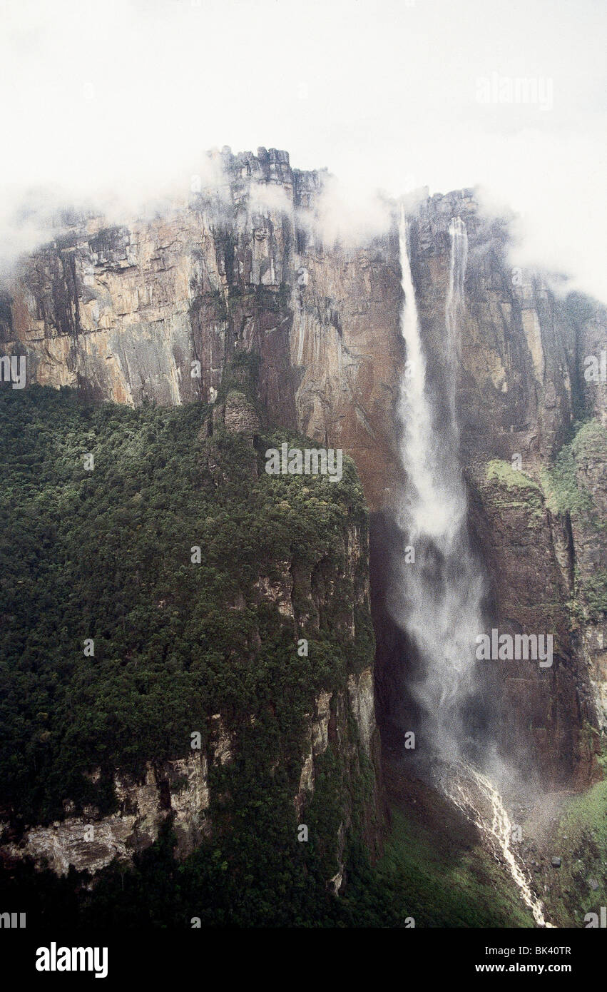 Angel Falls or Salto Angel is the world's highest waterfall in Canaima ...