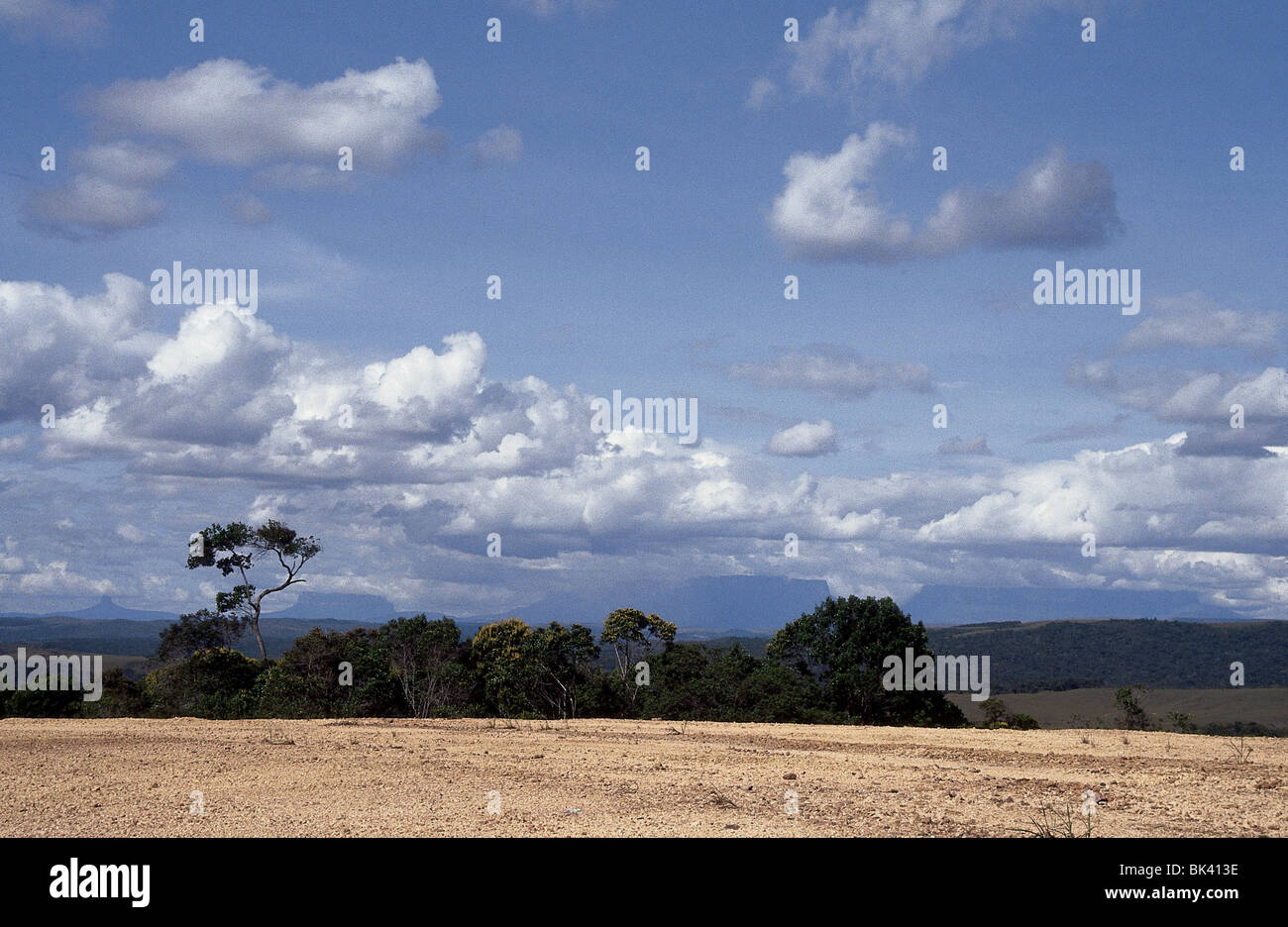 Guianan Savanna High Resolution Stock Photography And Images Alamy Guianan Savanna High Resolution Stock Photography And Images Alamy