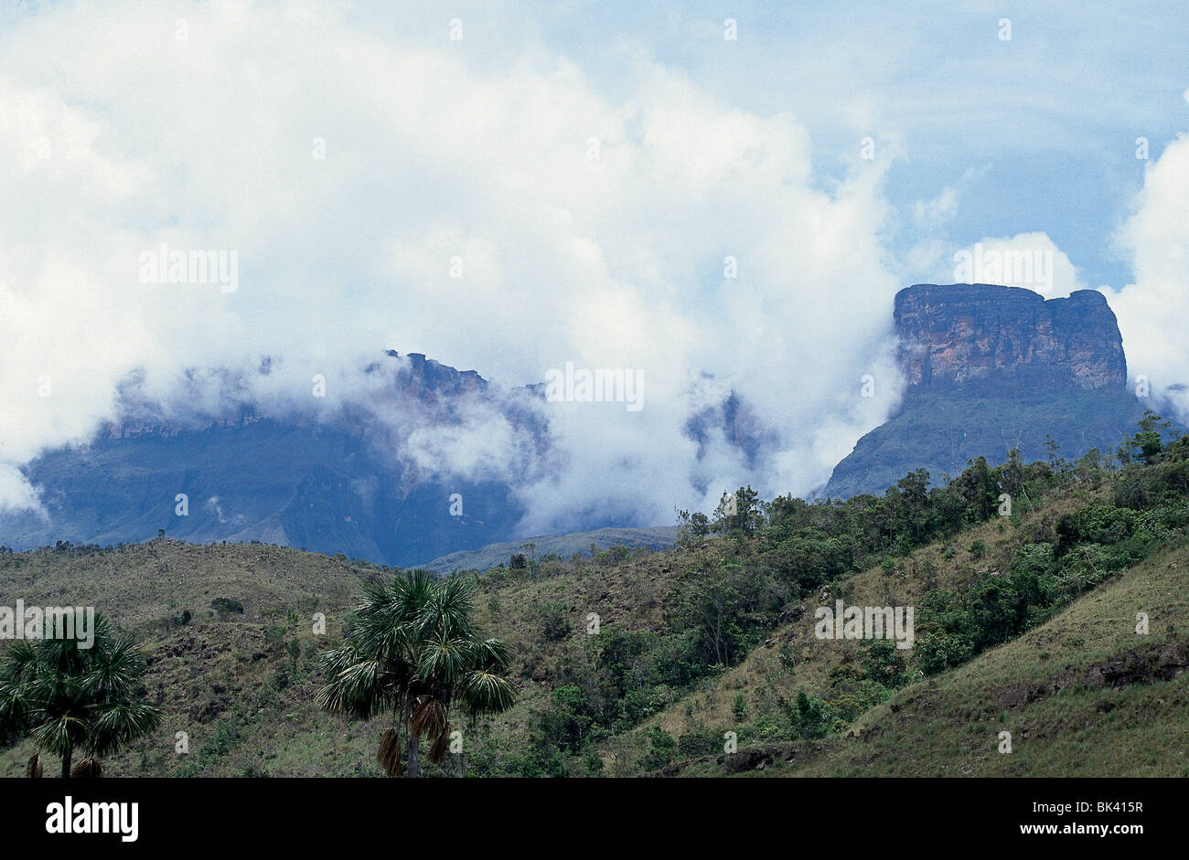 Guianan Savanna High Resolution Stock Photography And Images Alamy Guianan Savanna High Resolution Stock Photography And Images Alamy