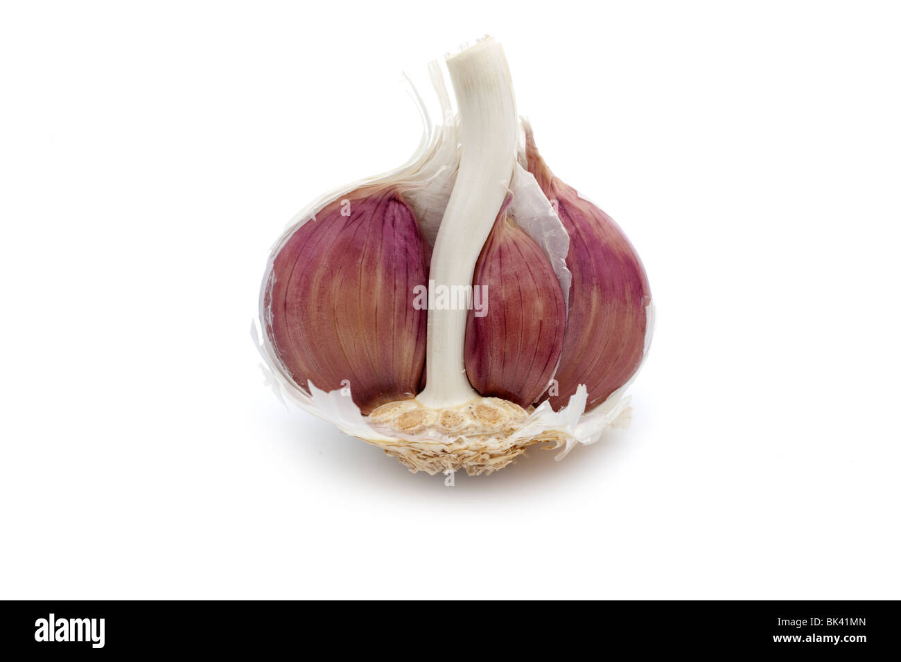 Halved garlic bulb Stock Photo Alamy
