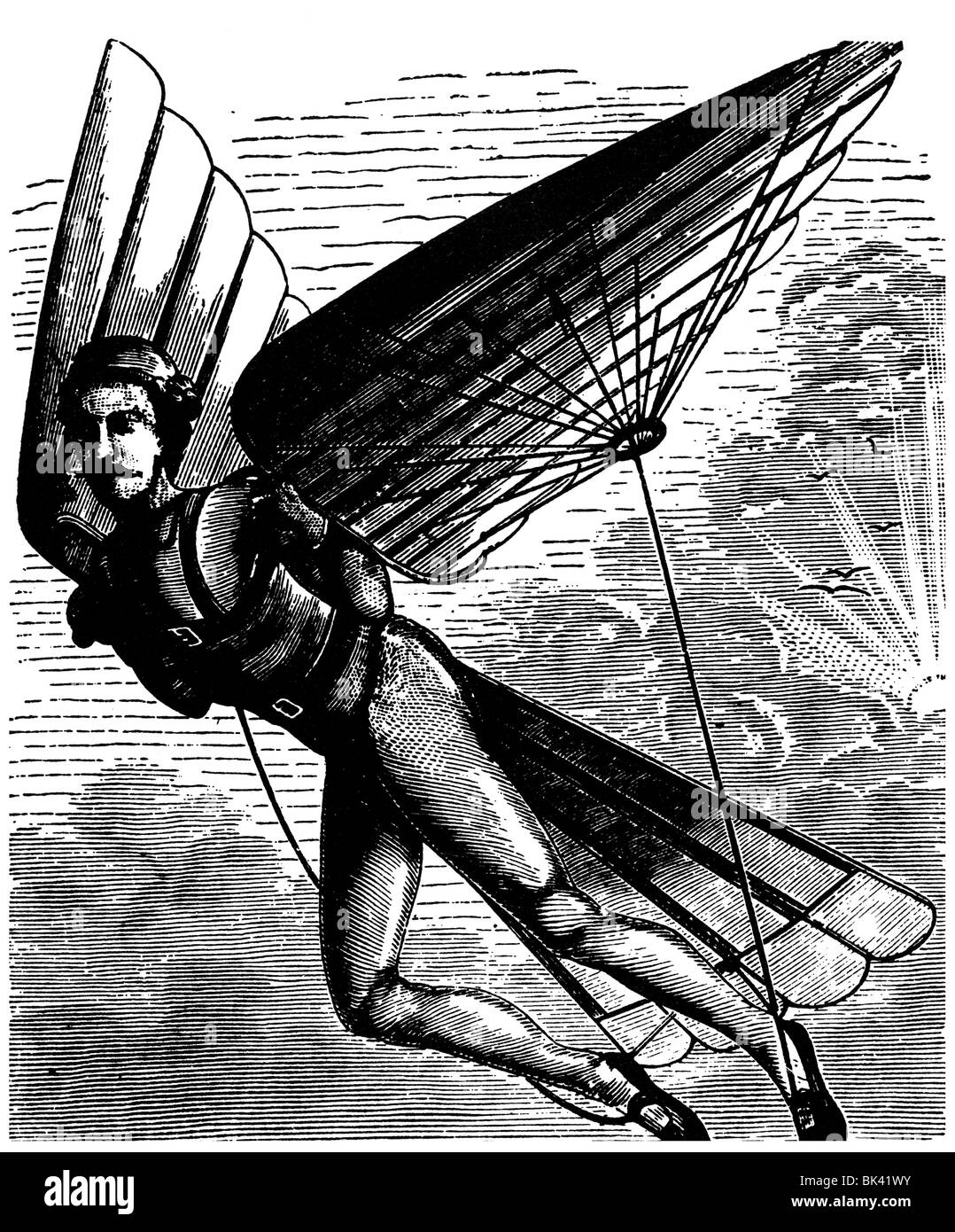 Wings s hires stock photography and images Alamy