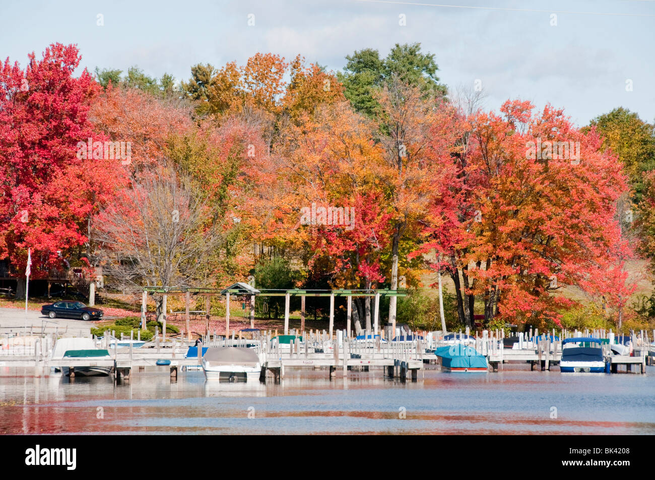 Lakeside Homes,Summer Vacation, Destination,Autumn Foliage,Colour