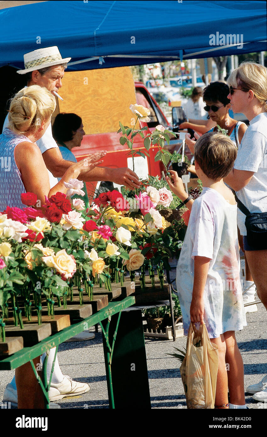 Flower market in Sarasota, Florida Stock Photo Alamy