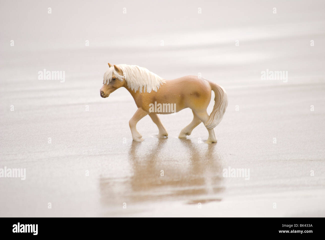 Small plastic toy horse on the beach, sand and rocks Stock Photo Alamy