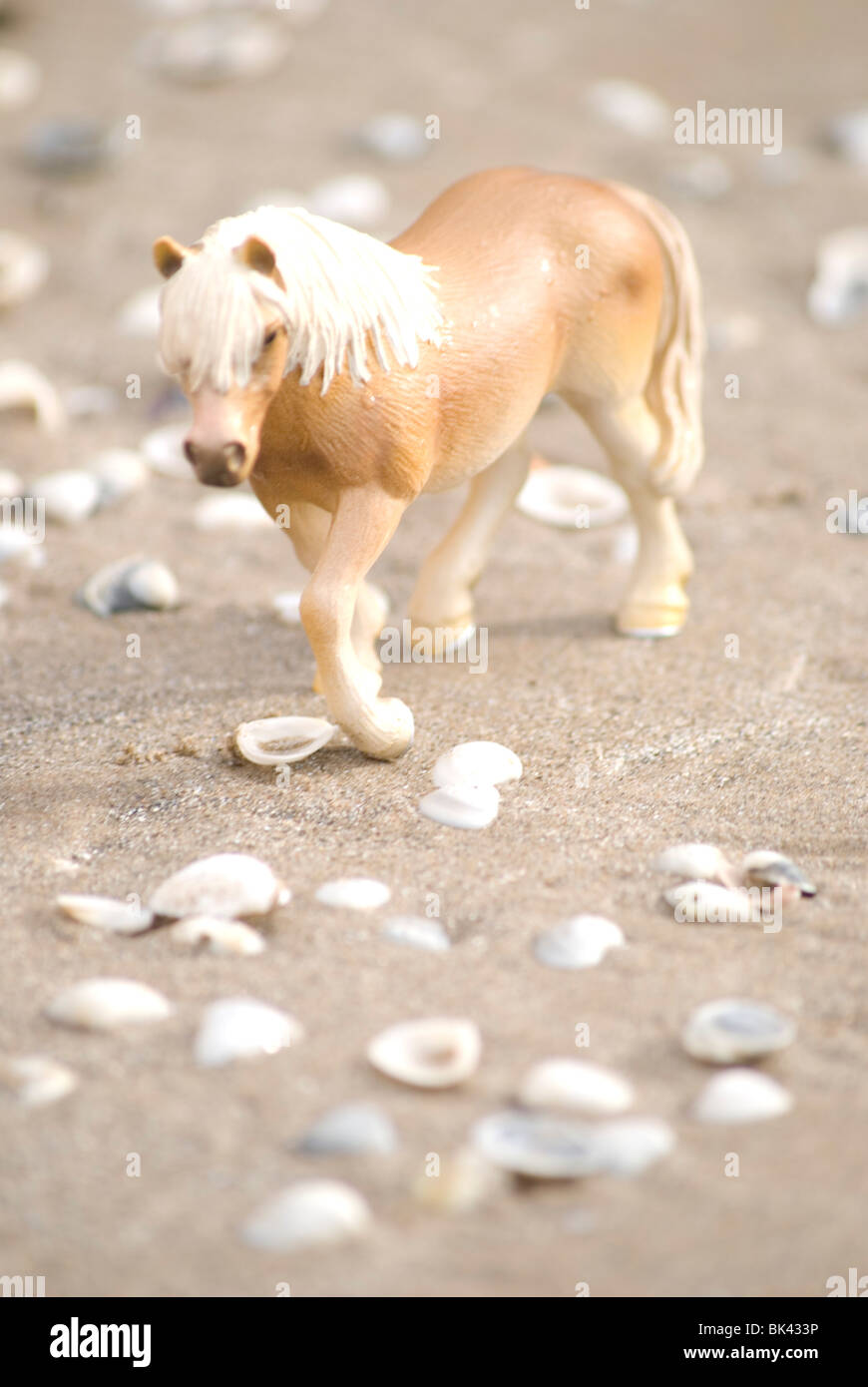 Small plastic toy horse on the beach, sand and rocks Stock Photo Alamy