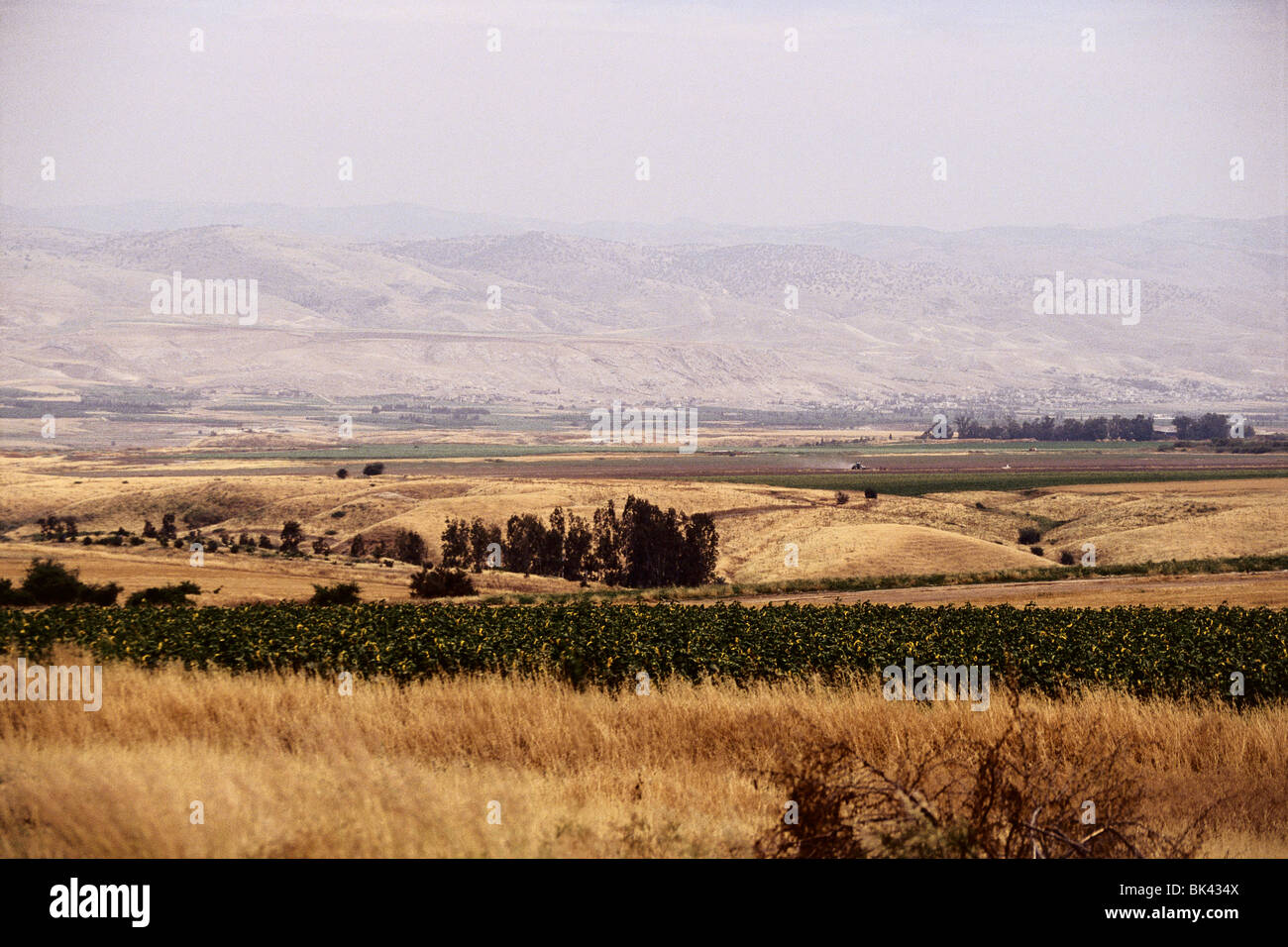 Agricultural Lands in Northern Israel Stock Photo - Alamy