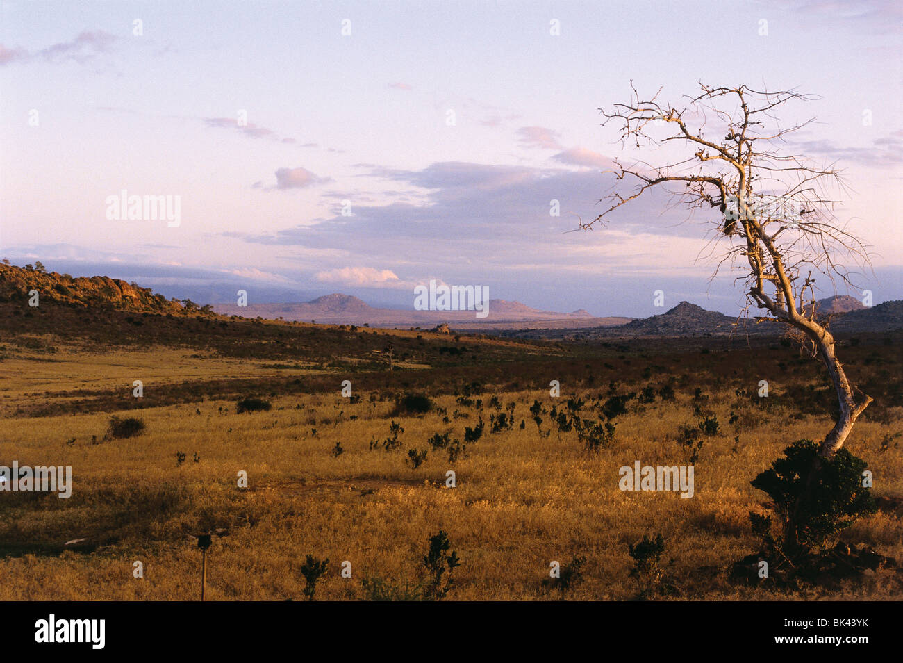 Sunset over the grasslands of Southern Kenya, East Africa Stock Photo
