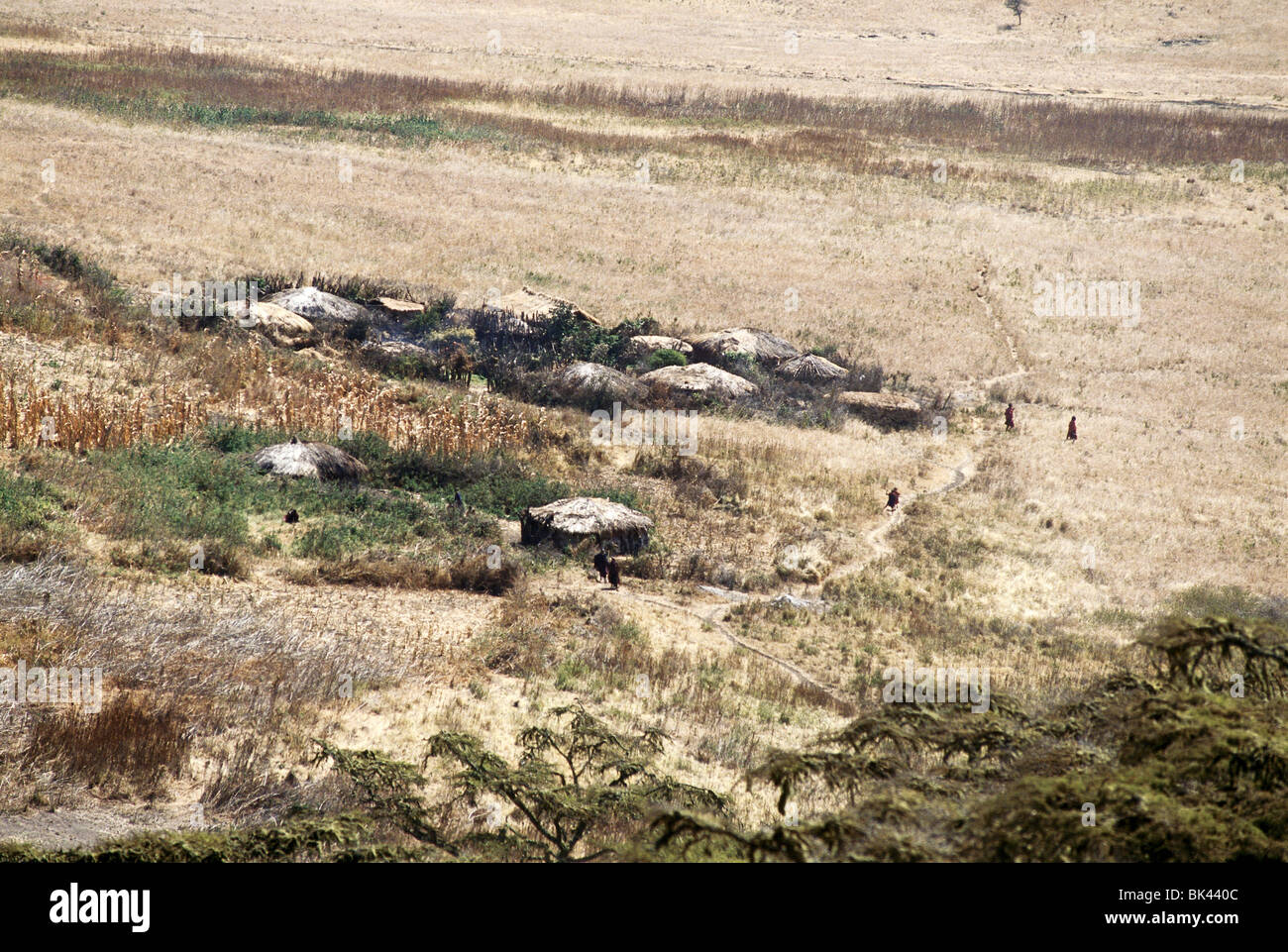 Village in the Ngorongoro Crater, Tanzania, East Africa Stock Photo