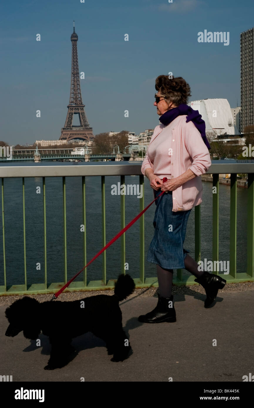 Paris,France, Eiffel Tower,French Woman Walking French Dog at View from